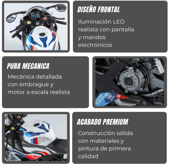 1:9 BMW S1000RR -